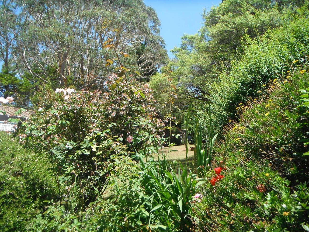 Crimson Villa Katoomba Exterior foto
